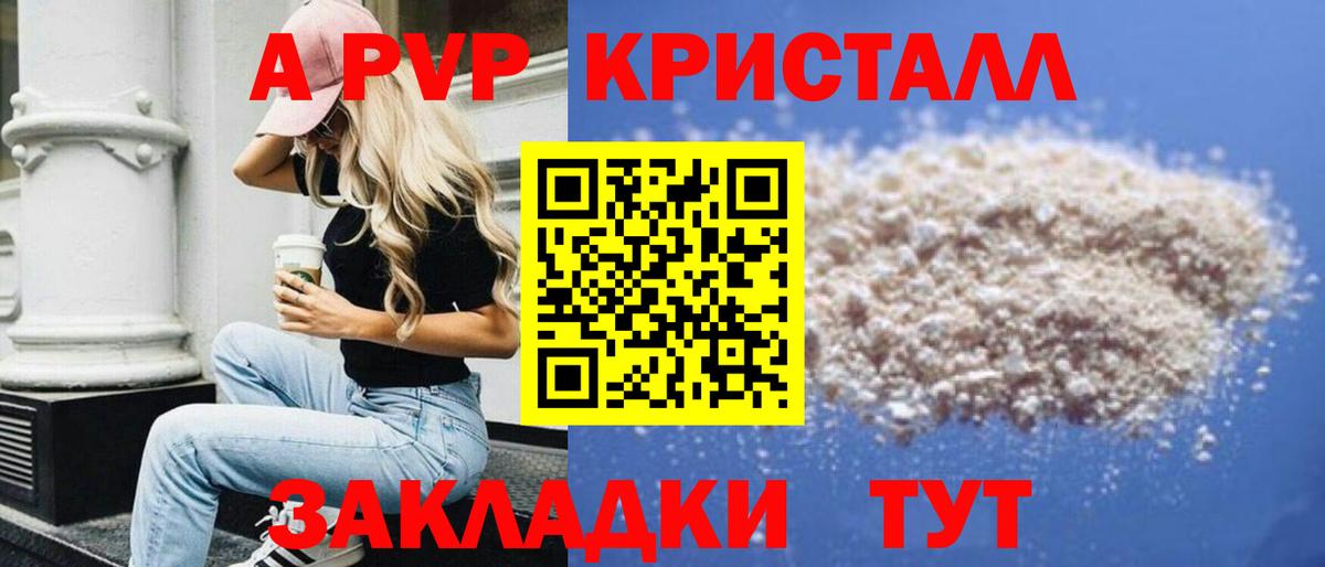 Альфа ПВП СК КРИС Сальск