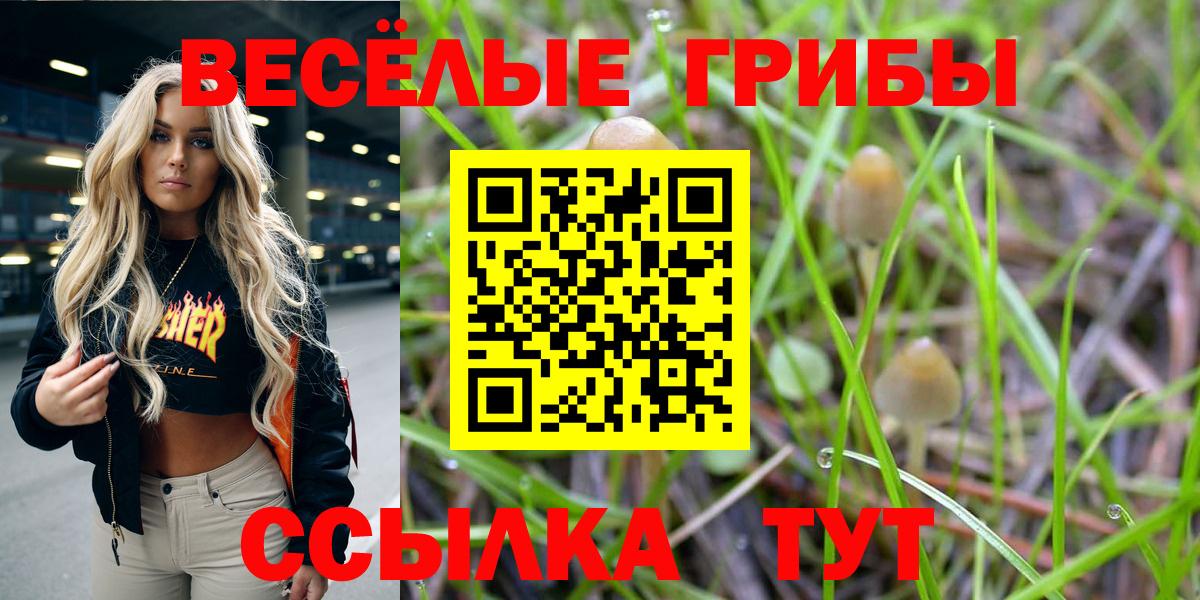 Сальск  Псилоцибиновые грибы GOLDEN TEACHER  Галлюциногенные грибы Cubensis  Вход с VPN 