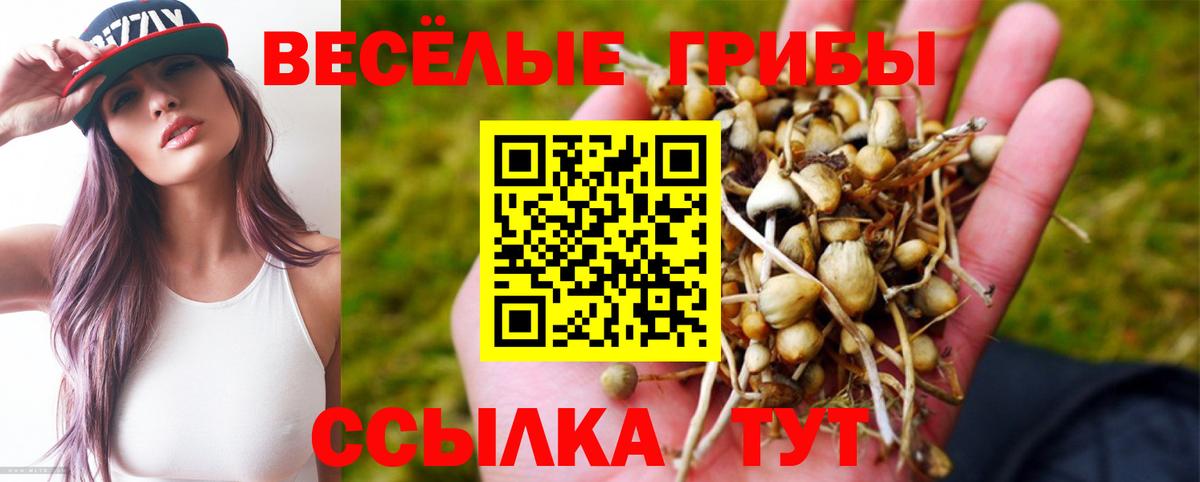 Псилоцибиновые грибы MAGIC MUSHROOMS Сальск